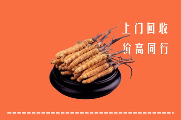 附近收购：呼伦贝尔冬虫夏草回收多少钱每克